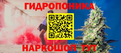 амф Севастополь