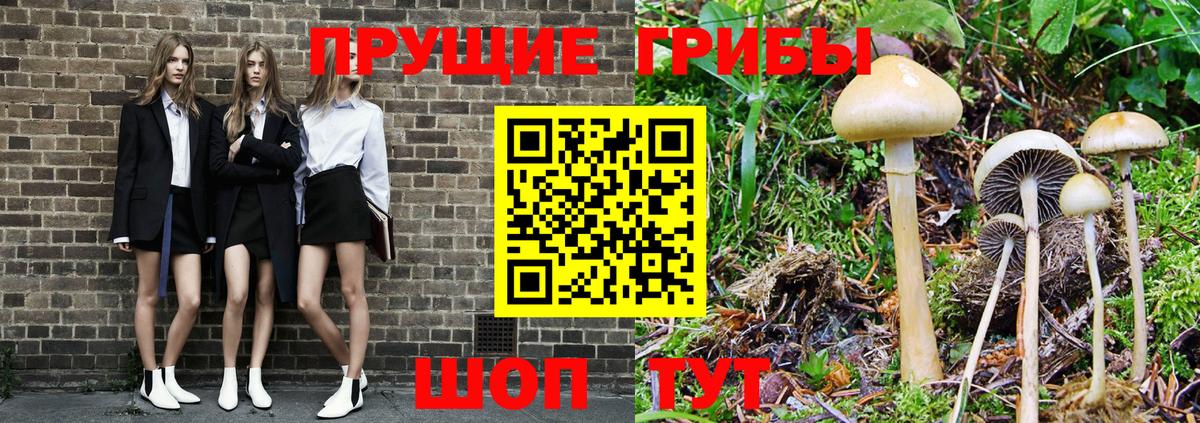Галлюциногенные грибы прущие грибы  Вход с VPN  Новосибирск 
